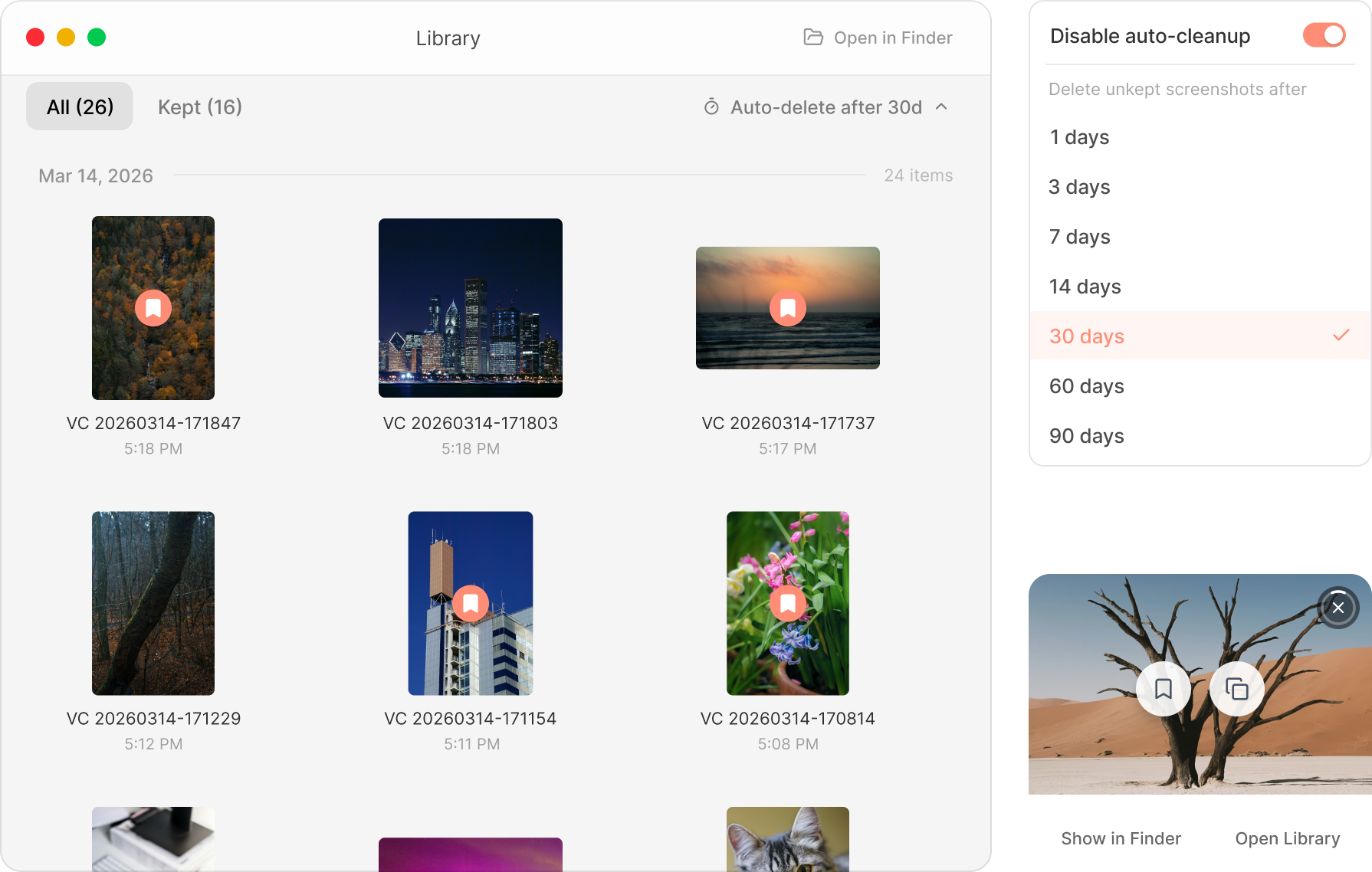 VibeCap screenshot library preview